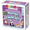 Gra karciana REBEL BrainBox Poznaję zwierzęta