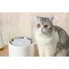 Fontanna dla zwierząt PETKIT Eversweet Wireless SUS304 Zasilanie Akumulatorowe