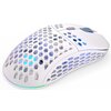 Mysz ENDORFY Lix Plus Wireless Biały (Onyx White) Typ myszy Optyczna