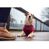 Sweterek dla psa HUNTER Malmo 62882 XS Bordowy Rodzaj Sweterek