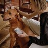 Na zdjęciu widać osobę trzymającą przezroczyste etui na telefon, ozdobione drobnymi elementami dekoracyjnymi. W tle znajduje się pies o brązowej sierści, siedzący na podłodze z plecionki, a w otoczeniu widoczne są drewniane meble.