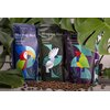 Kawa ziarnista MORNING BIRD Set 3 x 0.2 kg Zestaw degustacyjny (Rzemieślnicza) Dedykowany ekspres Ekspresy ciśnieniowe