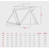 Rower szosowy BOTTECCHIA Duello M22 28 cali męski Szary Obręcze Raxe RS TL20