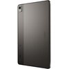 Tablet NOKIA T21 10.36" 4/64 GB Wi-Fi Szary Technologia ekranu IPS