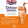 Karma dla kota BUTCHER'S Delicious Dinners kawałki z rybą morską w galaretce 400 g Typ Mokra