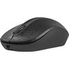 Mysz NATEC Toucan Czarny Interfejs 2.4 GHz