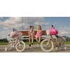 Rower dziecięcy SUN BABY Flower Bike 14 cali dla dziewczynki Niebieski Wyposażenie Karta gwarancyjna
