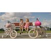 Rower dziecięcy SUN BABY Flower Bike 16 cali dla dziewczynki Morelowy Kółka boczne Tak