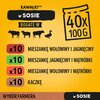 Karma dla psa PEDIGREE Mix smaków (40 x 100 g) Opakowanie Saszetka