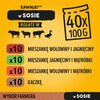 Karma dla psa PEDIGREE Mix smaków (40 x 100 g) Typ Mokra