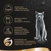 Karma dla kota SHEBA Fresh & Fine Drobiowe smaki (50 x 50 g) Smak Drób