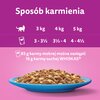Karma dla kota WHISKAS Rybne Przysmaki (40 x 85 g) Waga 3.4 kg