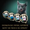 Karma dla kota SHEBA Classics Mix smaków (32 x 85 g) Smak Łosoś