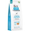 Karma dla psa BRIT Grain-Free Junior Large Łosoś