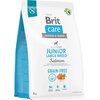 Karma dla psa BRIT Grain-Free Junior Large Łosoś