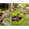 Czujnik wilgotności gleby GARDENA 01867-20 Zasilanie [V] 1.5