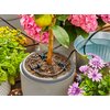 Zestaw do nawadniania GARDENA AquaBloom 13300-20 (20 m) Ulica i numer budynku ul. Burakowska 14