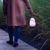 Lampa stołowa LIGHTLOGIC Oxor Led Stopień ochrony [IP] IP44