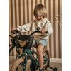 Rower dziecięcy SUN BABY Verdant Rowan 16 cali dla chłopca Zielony Kółka boczne Tak