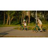 Rower dziecięcy SUN BABY Verdant Rowan 14 cali dla chłopca Zielony Gwarancja 24 miesiące