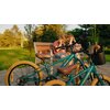 Rower dziecięcy SUN BABY Verdant Rowan 14 cali dla chłopca Zielony Rama Stalowa