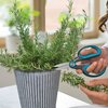 Nożyczki GARDENA Herbcut 12214-20 Rodzaj Nożyce