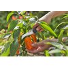 Nóż GARDENA VeggieCut 12211-20 USP_2 Trwała konstrukcja, idealna do ogrodu
