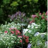 Dysza zraszająca GARDENA Micro-Drip-System 01365-29 (5 szt.) Materiał Tworzywo sztuczne