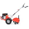 Glebogryzarka spalinowa FAWORYT SHT48-196L Loncin G200F Waga [kg] 72