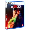 WWE 2K23 Gra PS5 Rodzaj Gra