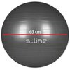 Piłka gimnastyczna S_LINE SA009G Szary (65 cm) Gwarancja 24 miesiące
