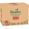 Pieluchomajtki PAMPERS Premium Care Pants 3 (144 szt.) Liczba sztuk w opakowaniu 144