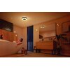 Lampa sufitowa PHILIPS HUE Xamento M 215948 Bluetooth Funkcje dodatkowe Sterowanie aplikacją