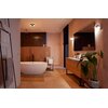 Lampa sufitowa PHILIPS HUE Xamento M 215948 Bluetooth Funkcje dodatkowe Sterowanie głosowe