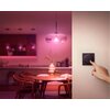Przełącznik PHILIPS HUE Tap dial Rodzaj produktu Przełącznik