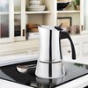 Kawiarka MAESTRO MR-1668-6 Srebrny 300 ml Kolor Srebrny