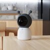 Niania elektroniczna TESLA Smart Camera Baby And Display BD300 Sygnalizacja optyczna Nie
