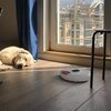 Dozownik karmy automatyczny TESLA Smart Pet Feeder Spin Informacje dodatkowe Bluetooth