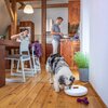 Dozownik karmy automatyczny TESLA Smart Pet Feeder Spin Komunikacja Bluetooth