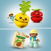 LEGO 10982 DUPLO Traktor z warzywami i owocami Płeć Chłopiec