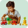 LEGO 10982 DUPLO Traktor z warzywami i owocami Liczba elementów [szt] 19