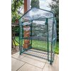 Szklarnia NEO 15-900 69 x 49 x 95 cm Rodzaj Miniszklarnia