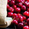 Syrop do saturatorów FRUTTAMAX Wiśnia 500 ml Pojemność [ml] 500