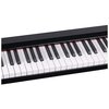 Pianino cyfrowe DNA SP 88 Liczba klawiszy klawiatury [szt] 88