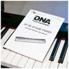 Pianino cyfrowe DNA SP 88 Aftertouch Nie