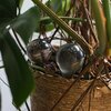 Kule nawadniające BIOOGRÓD 720926 Zastosowanie Do roślin doniczkowych