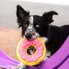 Zabawka ZIPPYPAWS ZP256 Cechy Piszcząca