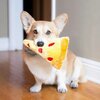 Zabawka ZIPPYPAWS ZP279 Materiał Plusz