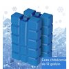Wkład do lodówki turystycznej ADRIATIC (2 x 200 ml) Przeznaczony Do lodówek turystycznych