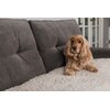 Legowisko uniwersalne PET REBELLION Comfy Cover Beżowy Nazwa BUBA Pet Andrzej Rembacz